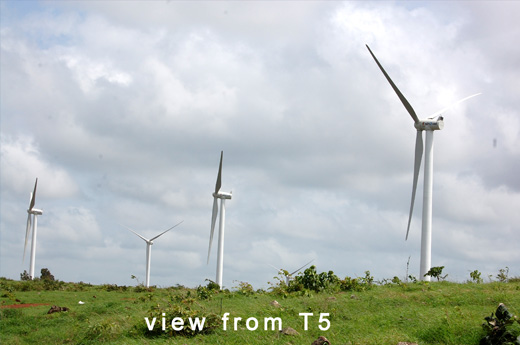 Image Caption