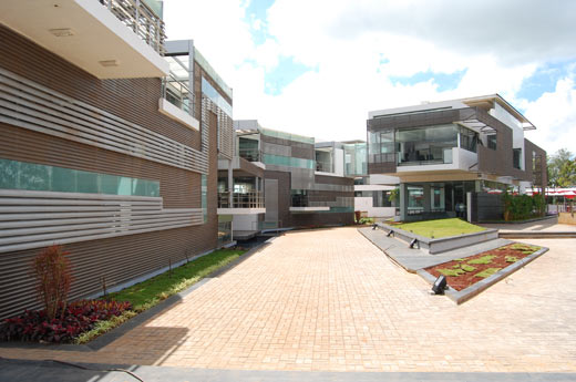 Image Caption